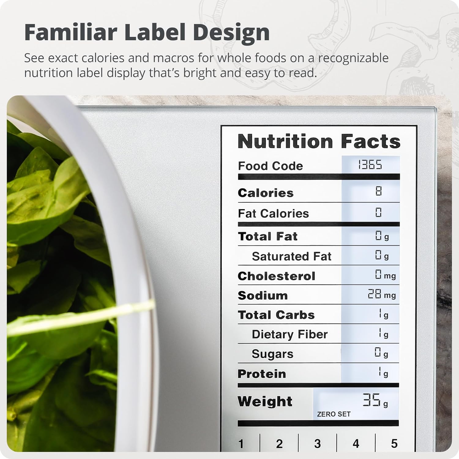 Küchenwaage aus Edelstahl 11lb – Meal Prep Weight Loss Bewertung und Preis